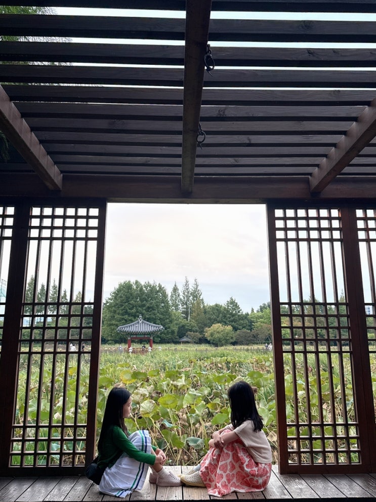 [ 전주] 전주 덕진공원 야경 명소 추천✨ 아이들과 함께한 전주 가족....