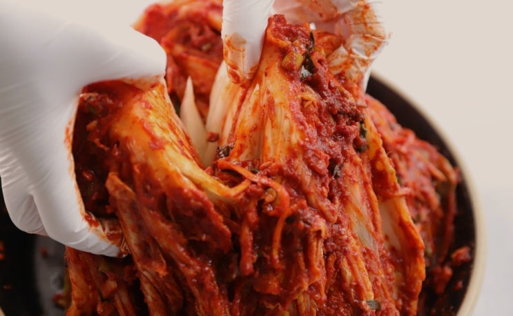 배추김치 몇 년 숙성한 묵은지가 유산균과 건강에 가장 좋을까? : 네이버 블로그