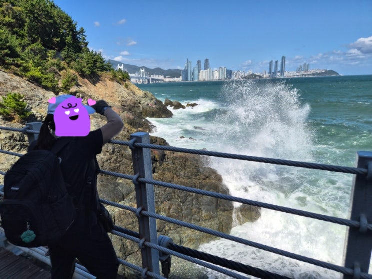 [휴직일기 D+22] 엄마랑 부산여행 3일차 (동백섬, 이기대)