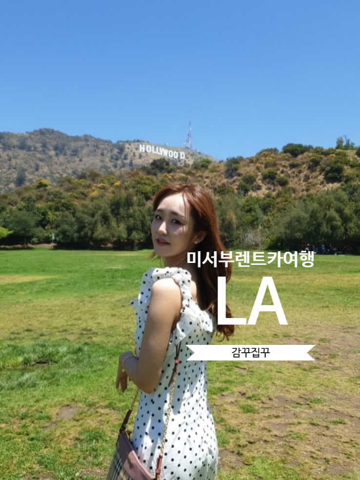 [LA]로스엔젤레스 여행 멜로즈 거리와 할리우드 사인 찍고 보일링크....