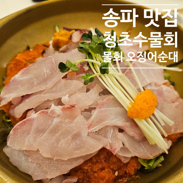 [잠실새내 맛집] 청초수물회 송파점, 속초까지 갈 필요 없는 물회와 오징어순대 찐후기 : 네이버 블로그