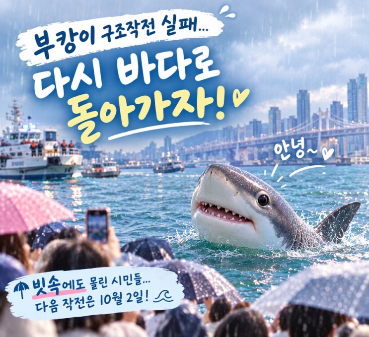 부캉이 구조작전 실패…다음작전은? 빗속에도 몰린 시민들