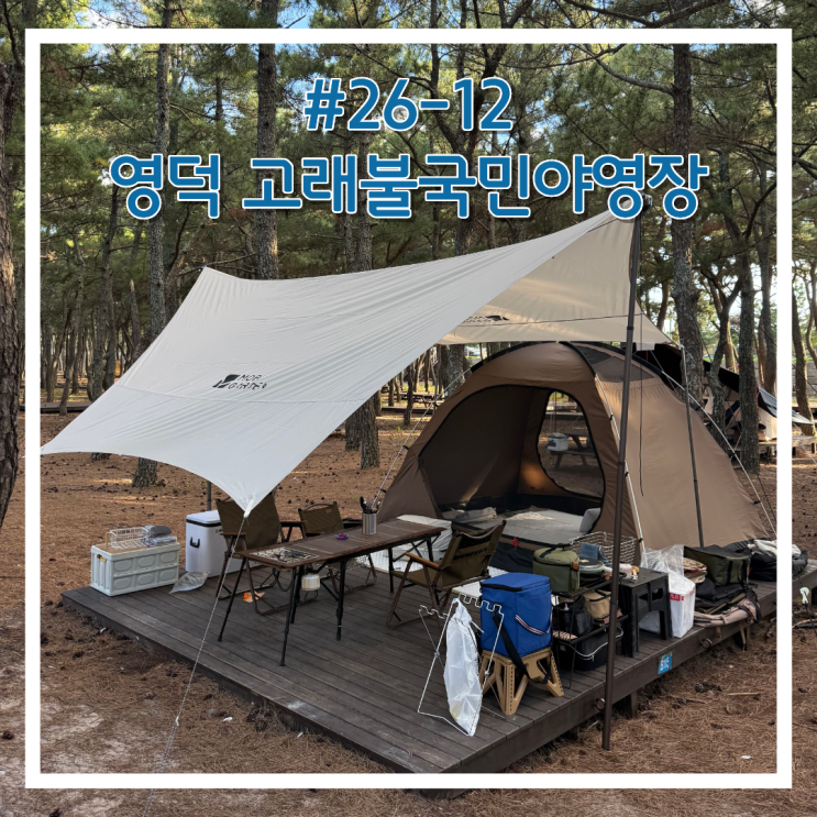 #26-12 영덕 고래불국민야영장, 대진해수욕장 해루질