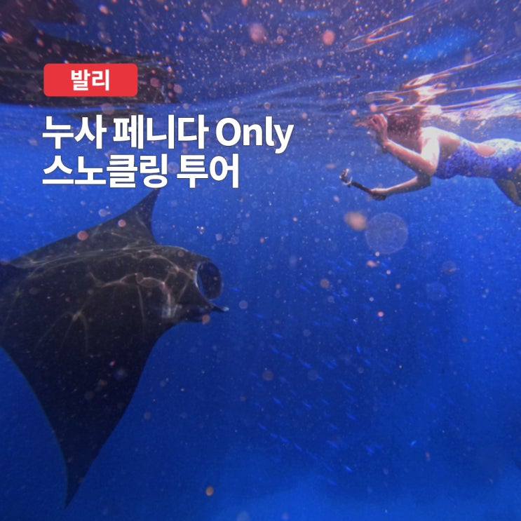 누사페니다투어 발리 스노클링 만타가오리 크리스탈베이 보트투어 ....