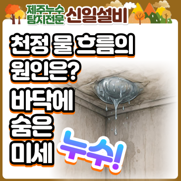 제주도누수, 삼양동 아파트 1층 천장 물 흐름 원인은? 바닥 속에 숨은 미세누수!