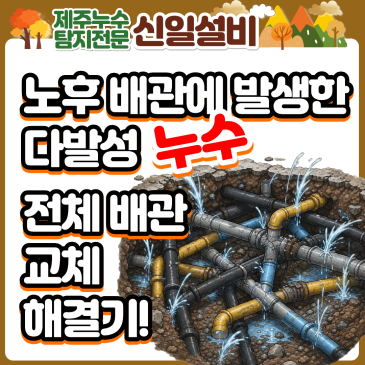 조천 함덕에 제주누수, 때우면 옆이 또 터지는 연쇄 누수의 굴레, 여자누수 기술자가 정품 배관 전체 교체로 완벽 해결한 현장!