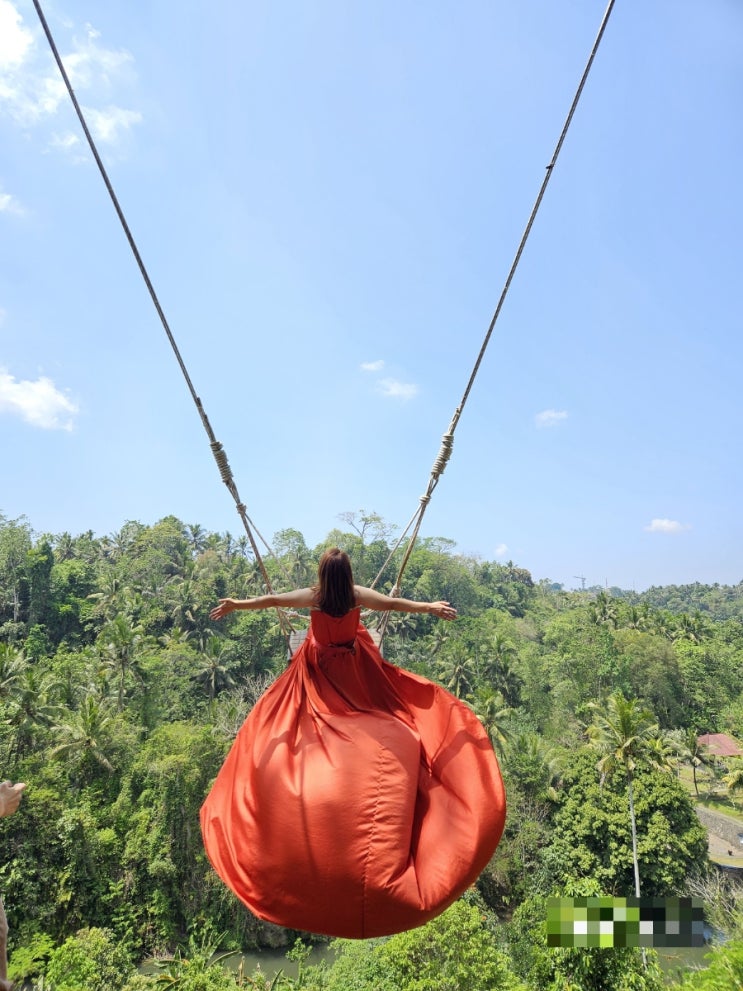 발리 스윙 피치븐발리 Picheaven Bali