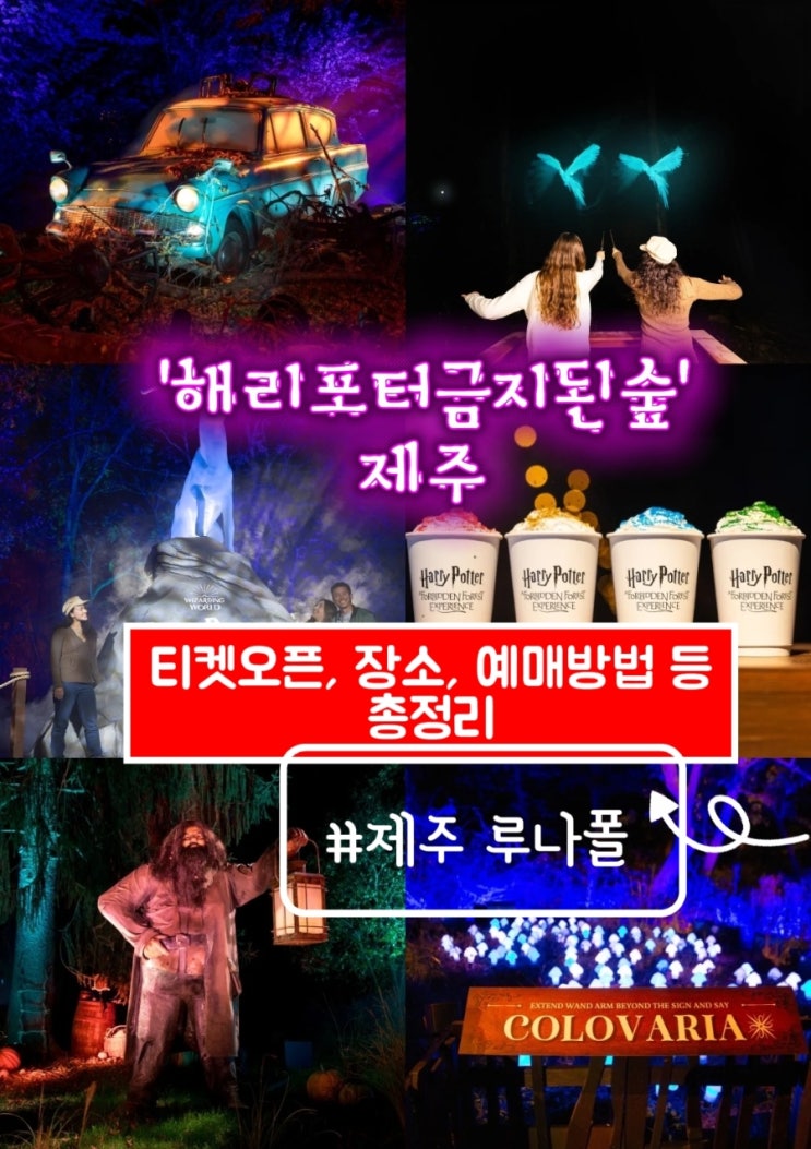 해리포터 금지된 숲 체험 제주 루나폴 예매링크 일정·가격총정리