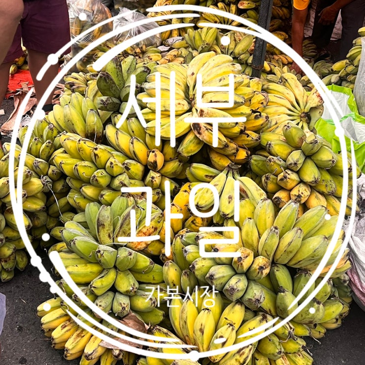 세부에서 과일살땐 현지인시장 | 카본마켓