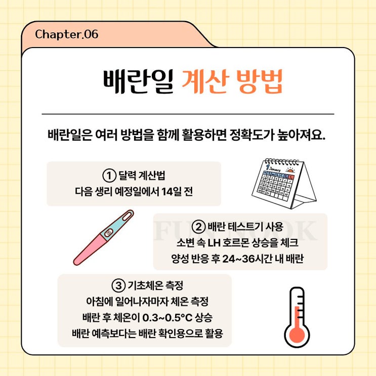 가임기 비가임기 배란일, 뜻 증상 임신확률 계산 방법 : 네이버 블로그