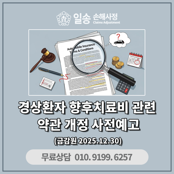 경상환자 향후치료비관련 '보험업감독업무시행세칙' 개정 사전예고 : 네이버 블로그