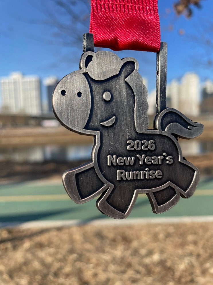 [2026 새해 일출런(1월 1일/10km) 후기]