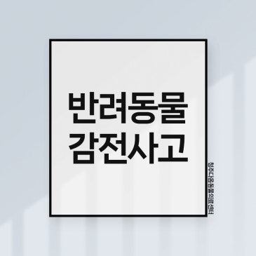 운천동 동물병원 강아지 고양이 감전사고 예방하는 방법