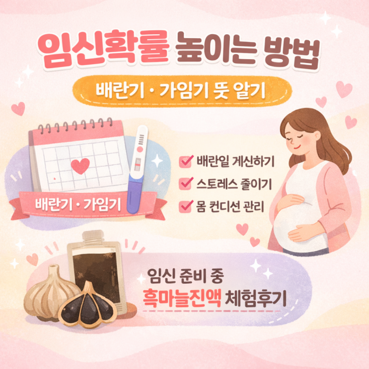 임신확률 높이는 방법 | 가임기 배란일 뜻 총정리 : 네이버 블로그