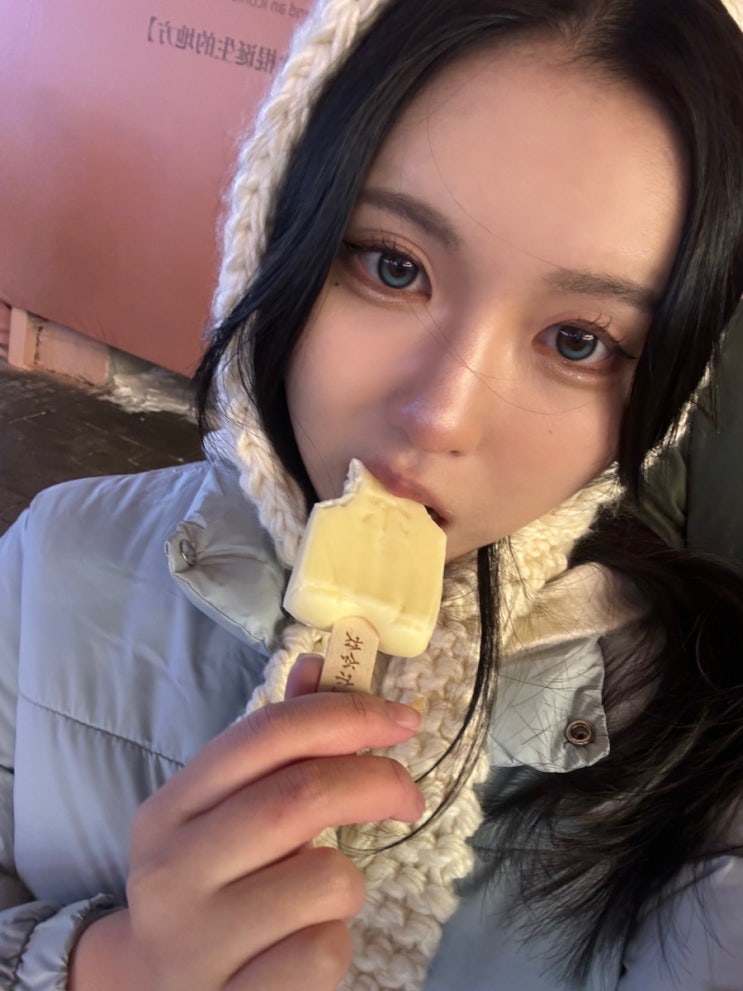 중국 하얼빈여행 중앙대가 마디얼 아이스크림 종류 맛 고덕지도 솔....