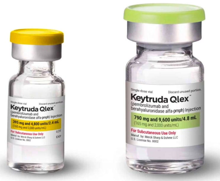 [알테오젠-MSD]Merck, KEYTRUDA QLEX와 함께 KRAS G12C 억제제 3상 임상시험 시작 : 네이버 블로그
