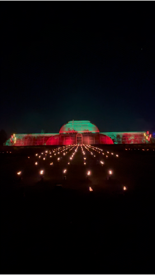 2025년 마지막을 런던 큐 가든(Kew Garden)에서 Christmas at Kew와 함께 큐~~....
