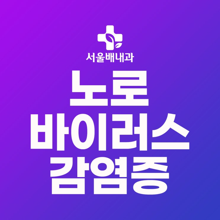 노로바이러스 장염 원인, 증상, 진단과 예방 : 네이버 블로그