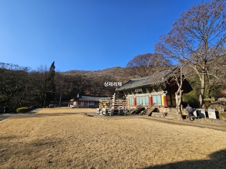 청주 낙가산 보살사 주차장 해우소 극락보전 명부전 오층석탑 석조이불병립상 삼성각 : 네이버 블로그