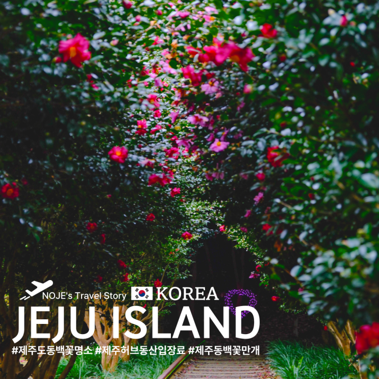 제주도 동백꽃 명소 제주 허브동산 입장료 : 네이버 블로그