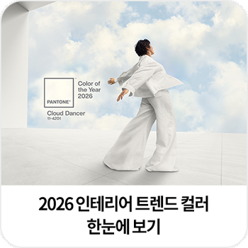 2026 인테리어 트렌드 컬러 총 정리 - 팬톤 올해의 컬러부터 서울색까지, 노루페인트의 컬러 제안 : 네이버 블로그
