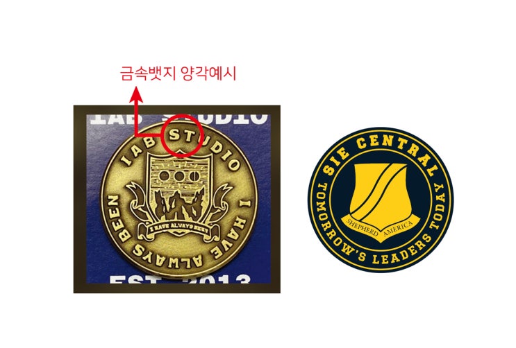 금속 뱃지 주문 제작 사례로 보는 디자인/제작 가이드, 브랜다즐 : 네이버 블로그