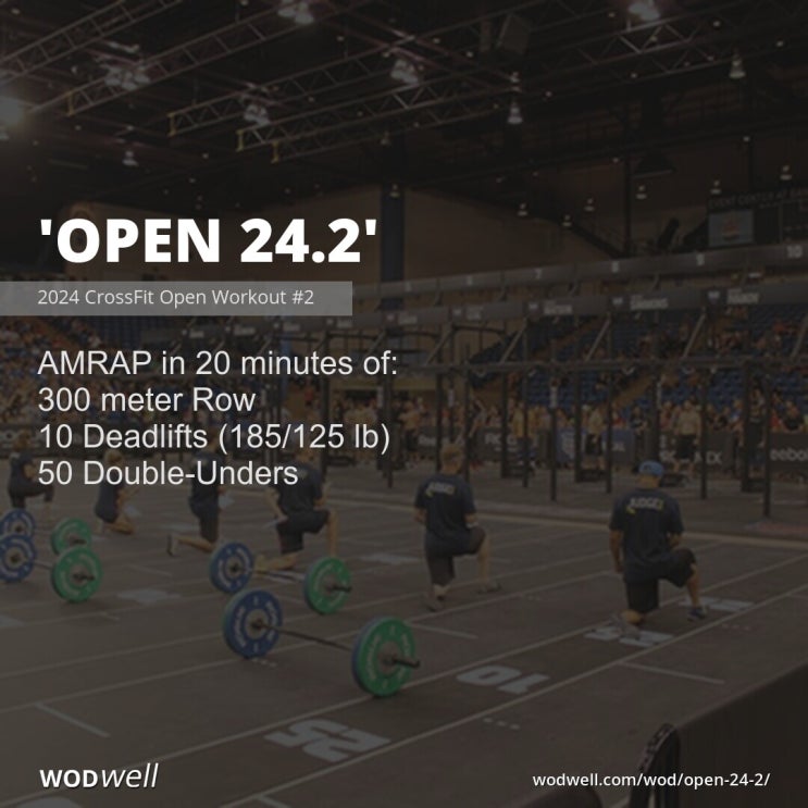 [크로스핏 오픈와드 정리.40] OPEN 24.2(Deadlift, Double under, Rowing)기록분포도, 전략 ...