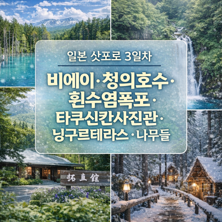 일본 삿포로 3일차 | 비에이·청의호수·흰수염폭포·타쿠신칸사진관....