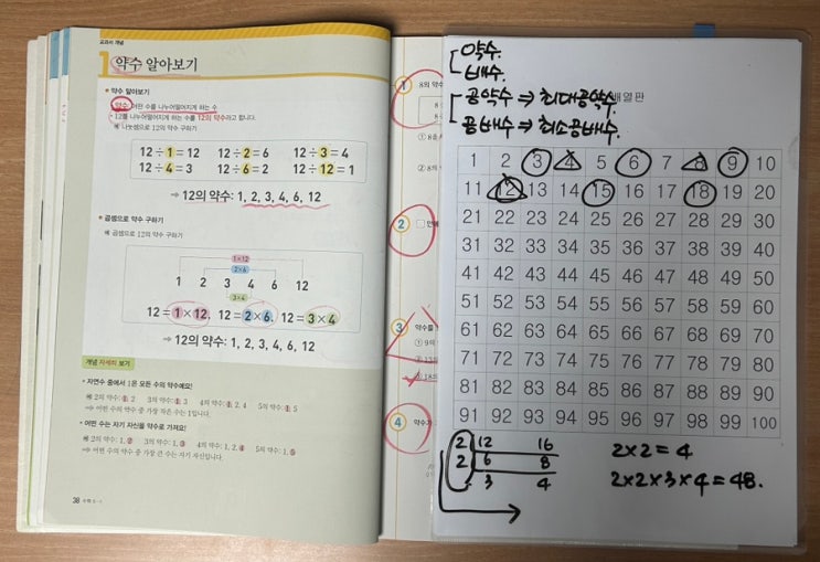 🔍Math Tree 이야기(5학년 1학기 2단원 약수와 배수) : 네이버 블로그