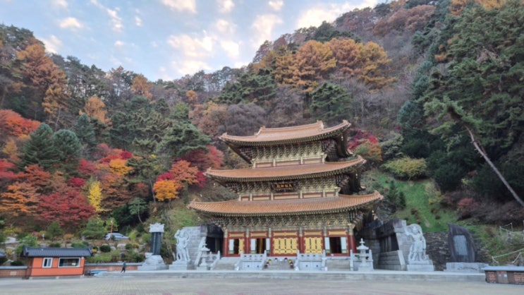 단양 여행 소백산 구인사/마치 중국풍의 사찰을 보는 듯 독특한 구조의 구인사 대조사전 : 네이버 블로그