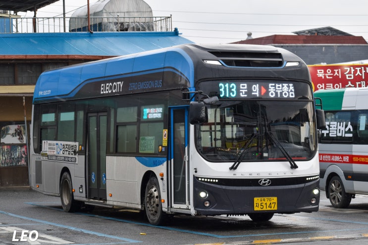 우진교통 313번 [ELEC CITY 저상 EV 24년식 5147호] : 네이버 블로그