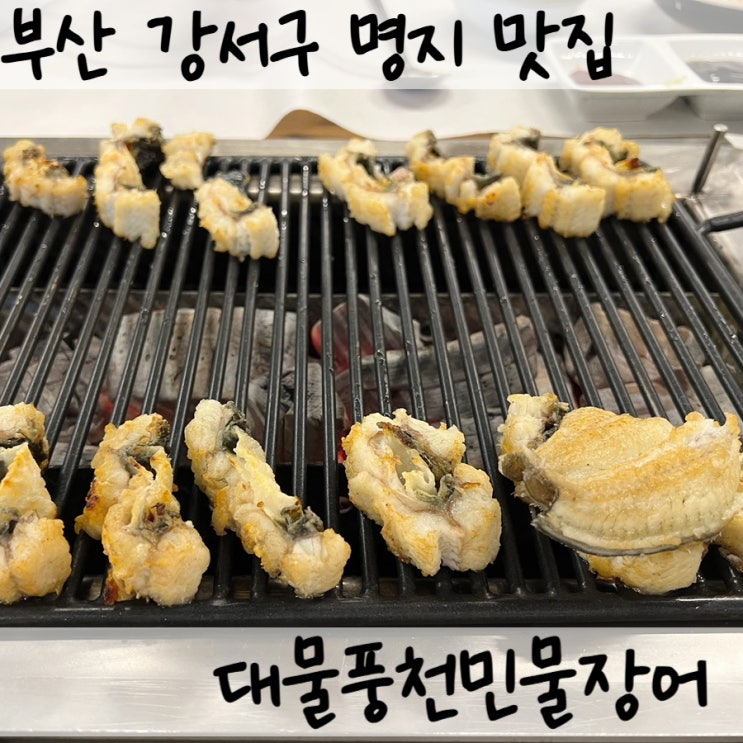 부산 강서구 명지 [대물풍천민물장어] 맛집 몸보신!