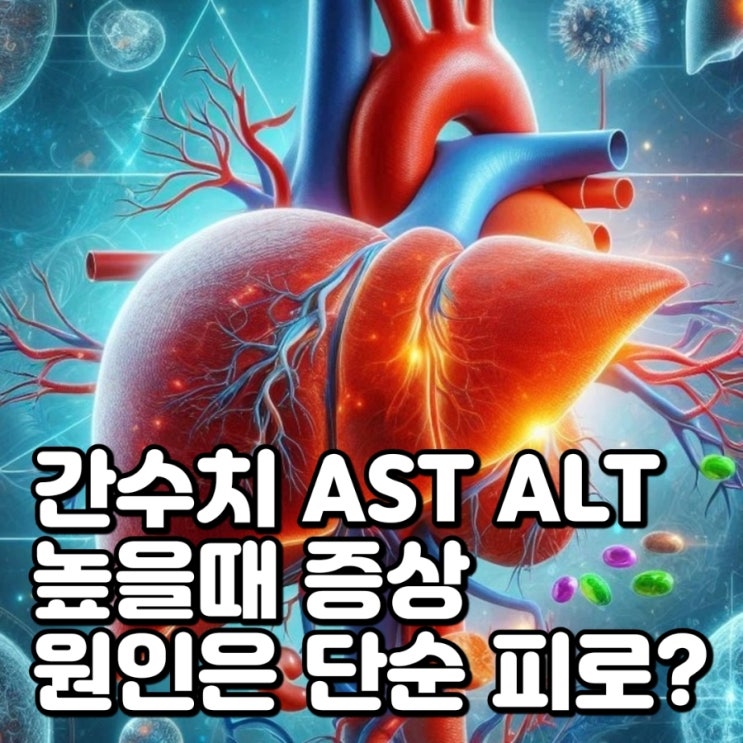 간수치 AST ALT 높으면 나타나는 증상, 원인은 단순 피로일까요? : 네이버 블로그