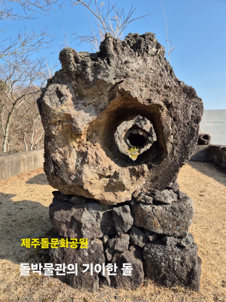 제주도 지질의 종합박물관, 