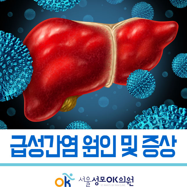급성간염 원인 및 증상 '급성간염은 모두 전염될까요?' : 네이버 블로그