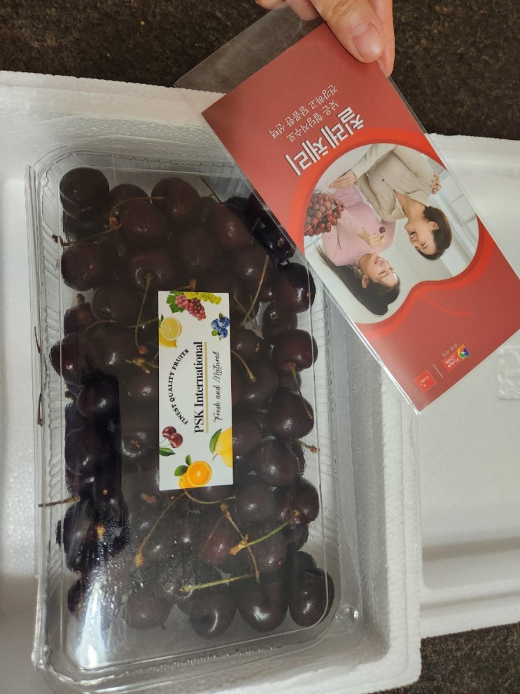 겨울에 만나는 붉은 보석, 당도 선별 프리미엄 칠레 체리 시식 후기 🍒