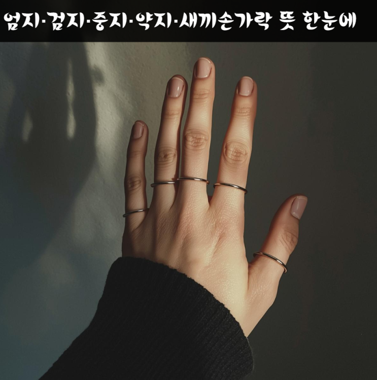 반지 손가락 의미 총정리｜엄지·검지·중지·약지·새끼손가락 뜻 한눈에 : 네이버 블로그