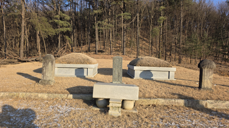 중추부사 상호군 최사용 묘 풍수. 전주 최씨 : 네이버 블로그