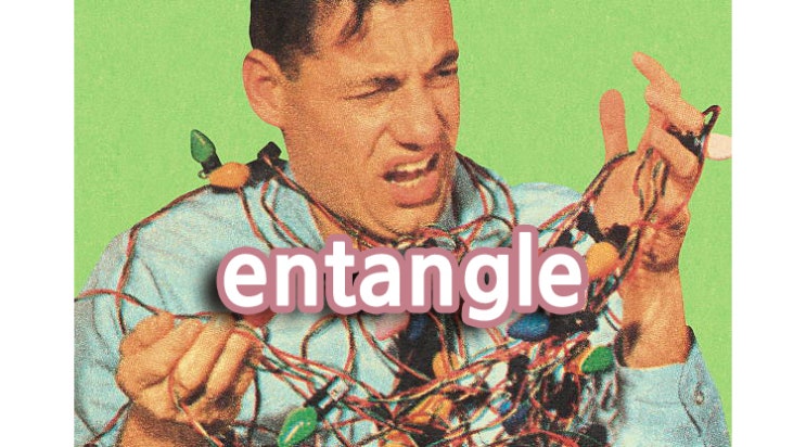 [2024학년도 수능 영어 41번 기출] entangle 영어해석 - 안으로 엉킨 것 - 2 - 60 : 네이버 블로그