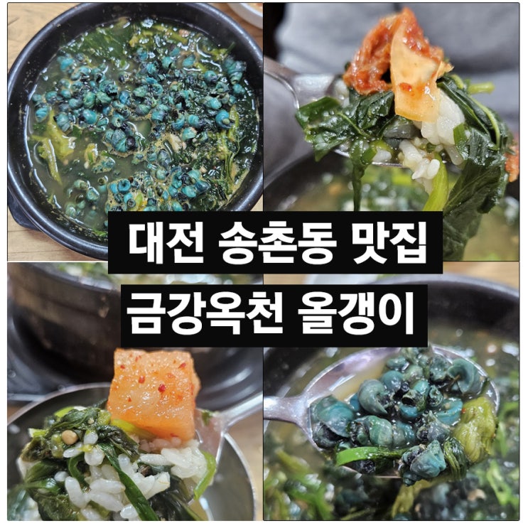 대전 송촌동 찐 맛집 금강옥천올갱이｜올갱이국 또또간집 : 네이버 블로그