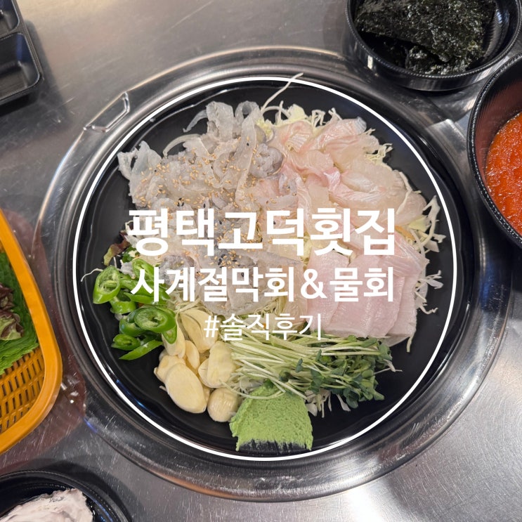 평택 고덕 막회 솔직후기: 사계절막회&물회 고덕점 : 네이버 블로그