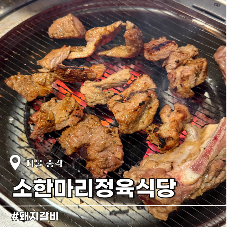 종각 룸고기집 소한마리정육식당 돼지갈비 맛집 종로 회식 추천 종각 주차 : 네이버 블로그