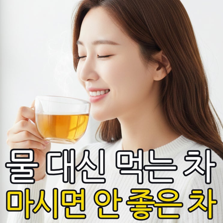 물 대신 먹는 차, 물대용차 종류와 주의사항 완벽 정리 : 네이버 블로그