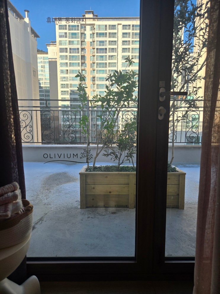 테라스,OLIVIUM로고,정원