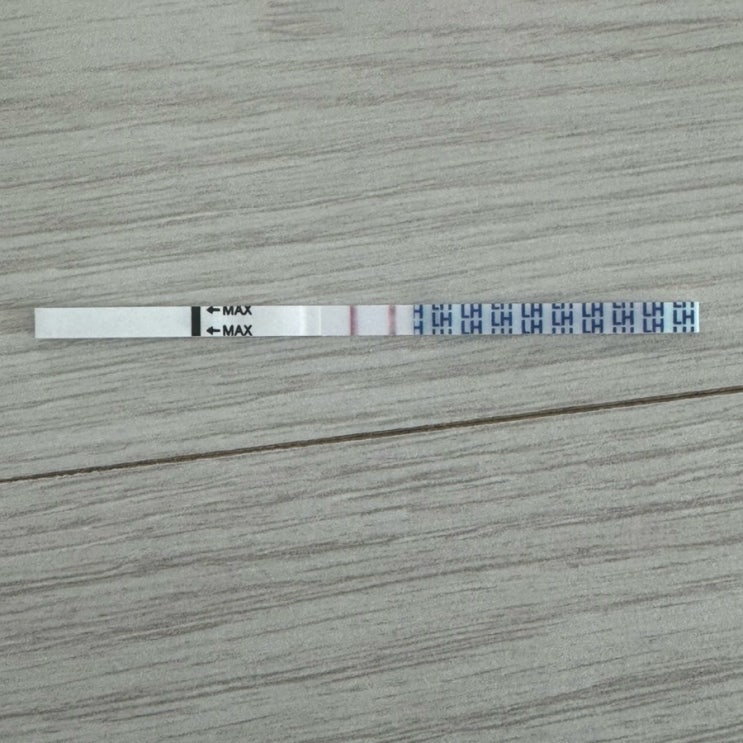 임신 성공후기 | 배란기테스트 (베테기) 스마일 어플 솔직 후기 : 네이버 블로그