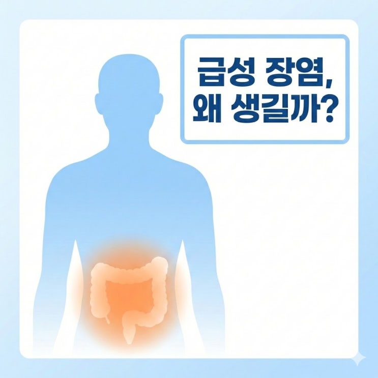 장염 원인·증상·치료 총정리! 병원에서 알려주는 완전 가이드 : 네이버 블로그
