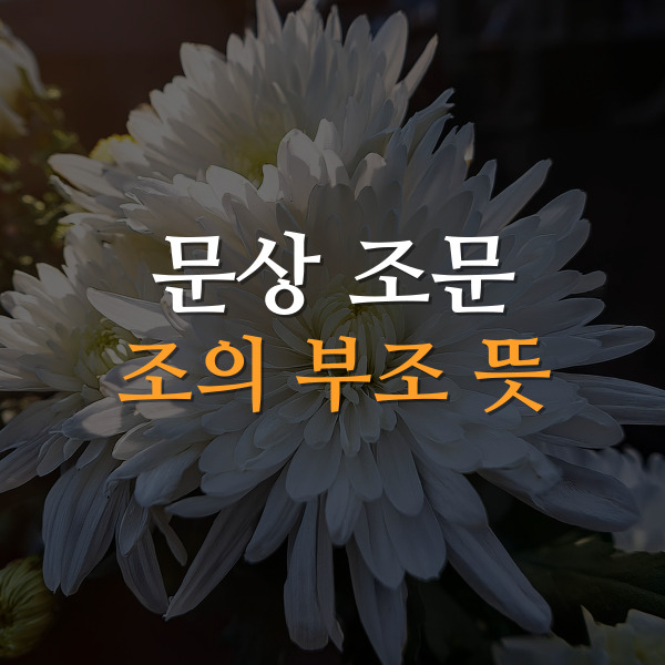 문상 조문 조의 부조, 어떻게 다를까? 헷갈리는 장례 용어 : 네이버 블로그