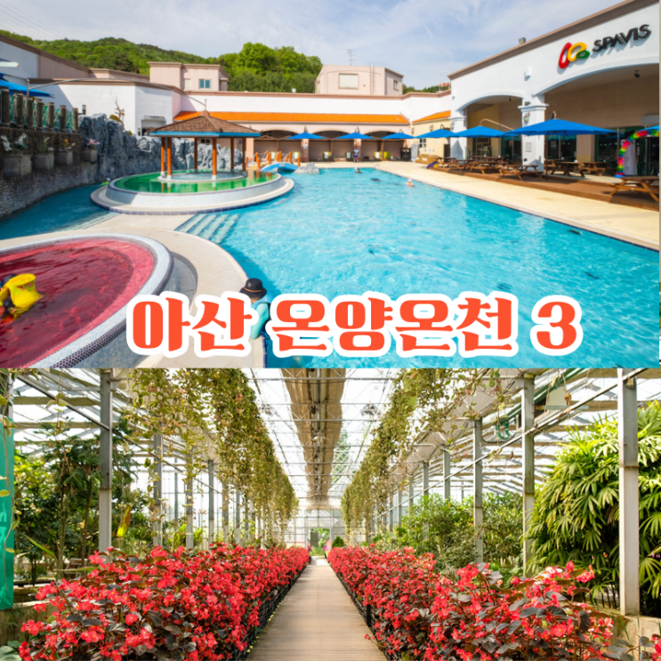 국내 온천 여행｜아산 가볼만한곳 온양온천호텔 TOP3 (파라다이스 도고 외) : 네이버 블로그