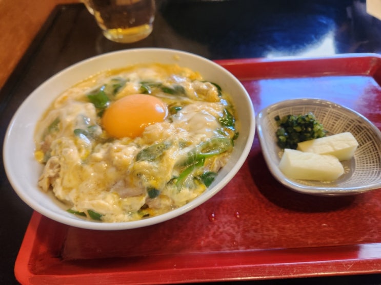 도톤보리 난바 맛집 이치란라멘, 이마이우동 정말 맛있을까?