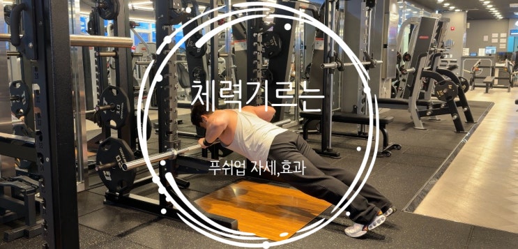 체력기르는 운동 방법 프로그램으로 효과적인 푸쉬업 종류, 자세 효과 알아보자.(인클라인 ....